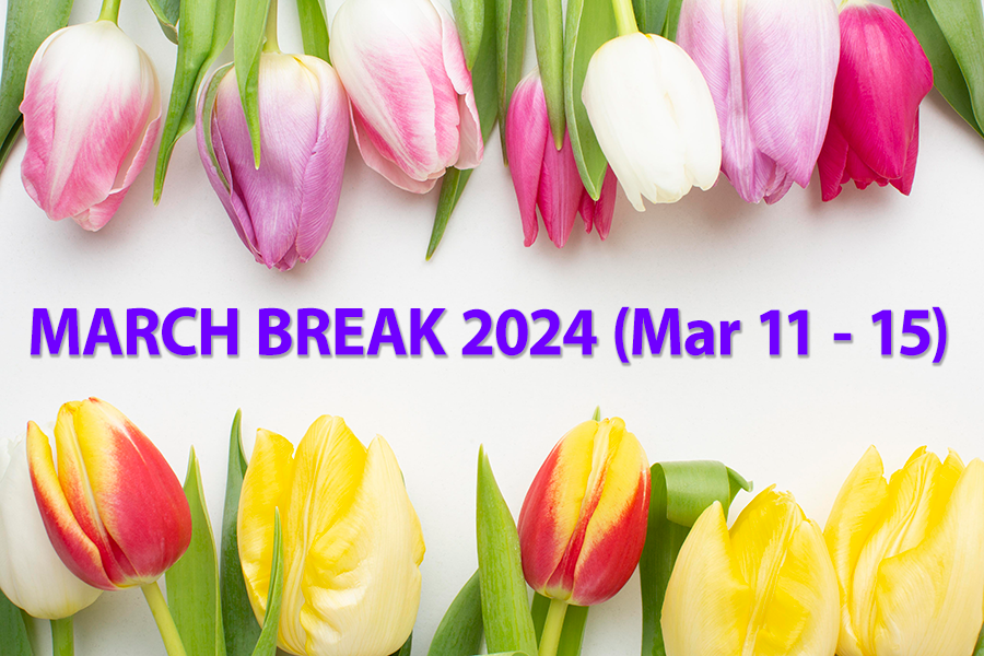 » March Break 2024 Program Currently Sold Out